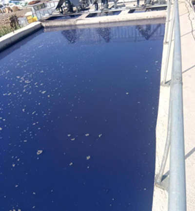 煙臺裕鵬纖維有限公司印染廢水處理工程